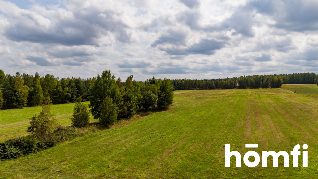 Działka rolna 4,56 ha, Zdziechów - zdjęcie 17
