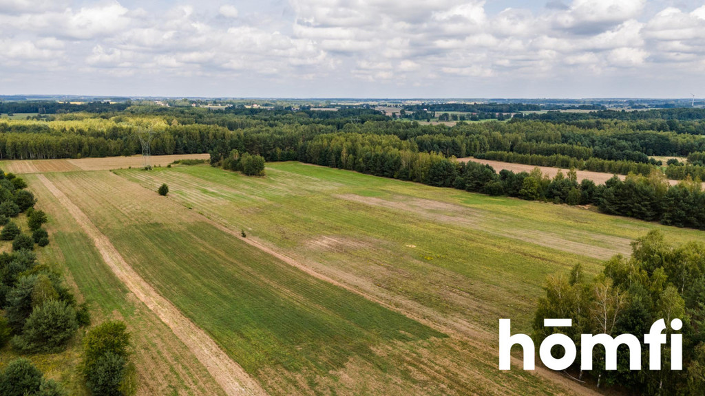 Działka rolna 4,56 ha, Zdziechów - zdjęcie 11