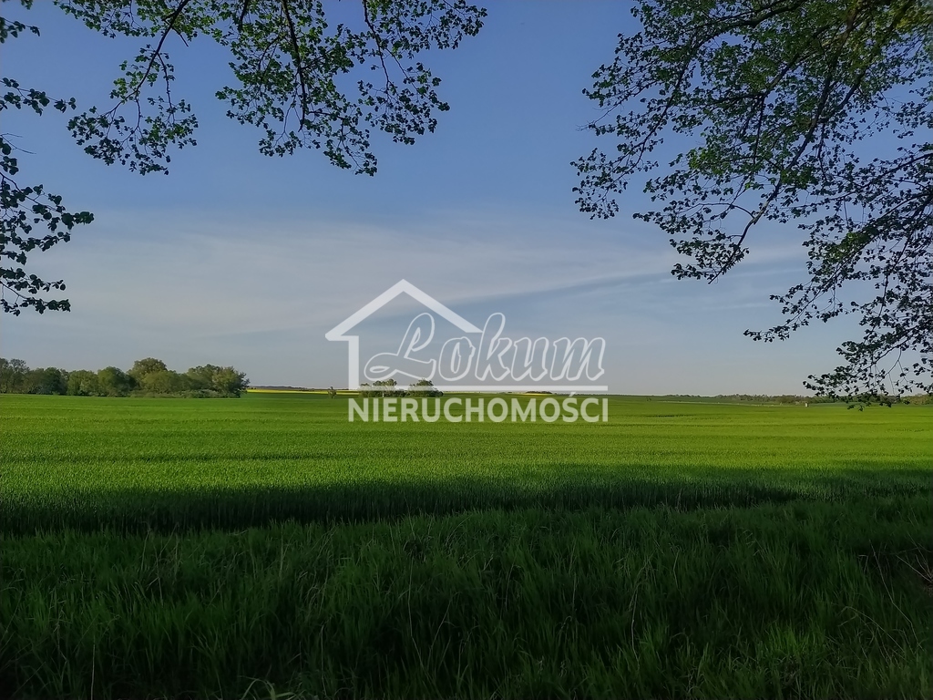 Działka rekreacyjna 9720&nbsp;m², Jęczydół - zdjęcie 2