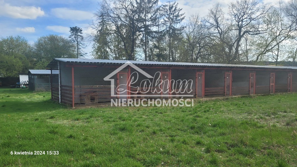 Dom 1000 m², Sierakowo - zdjęcie 16