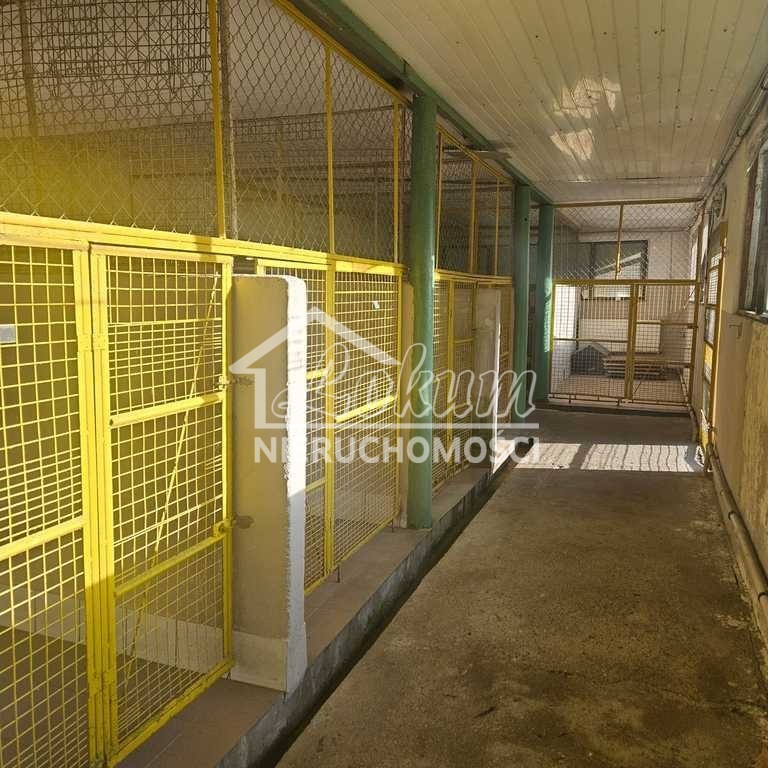 Dom 1000 m², Sierakowo - zdjęcie 18