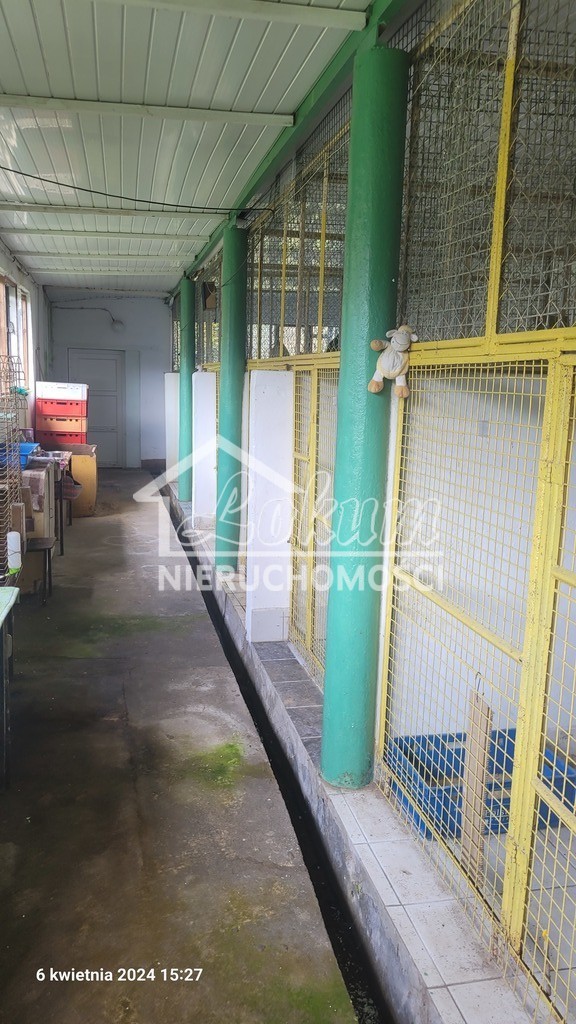 Dom 1000 m², Sierakowo - zdjęcie 15