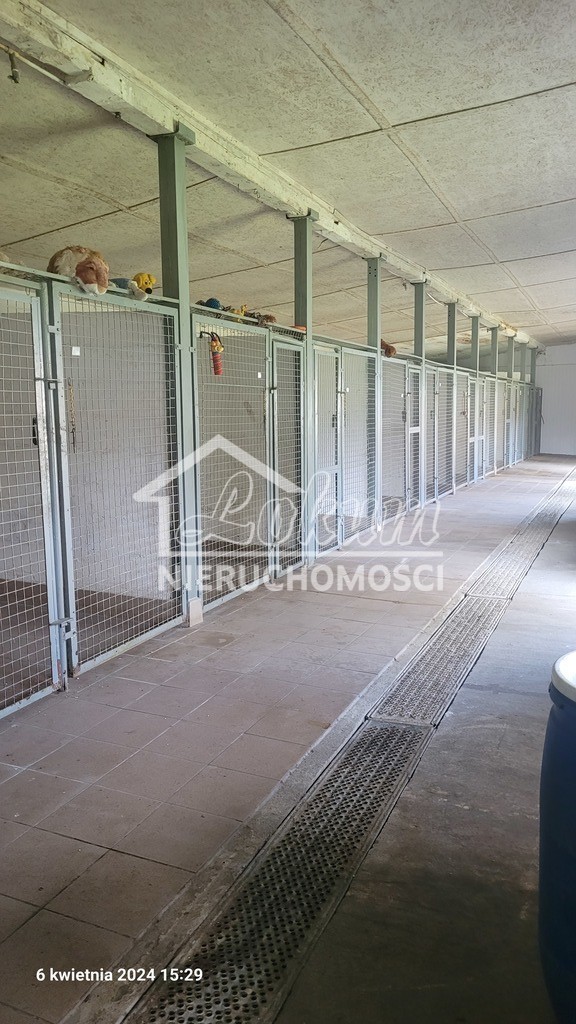 Dom 1000 m², Sierakowo - zdjęcie 14