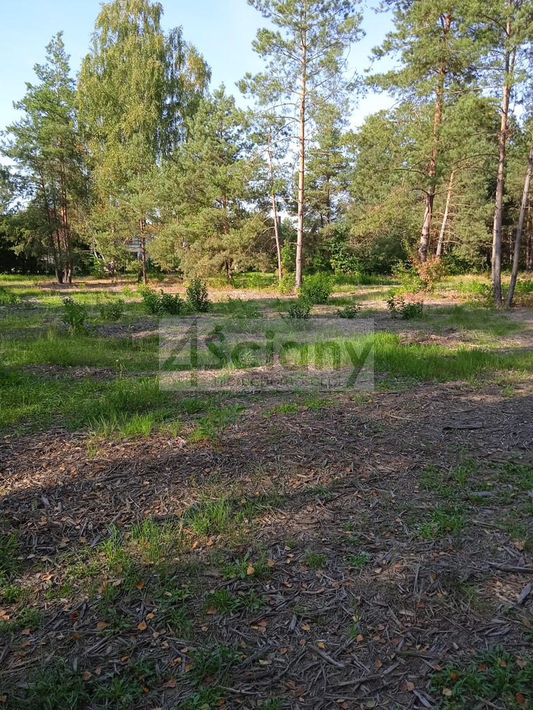 Działka budowlana 1400&nbsp;m², Chotomów - zdjęcie 1
