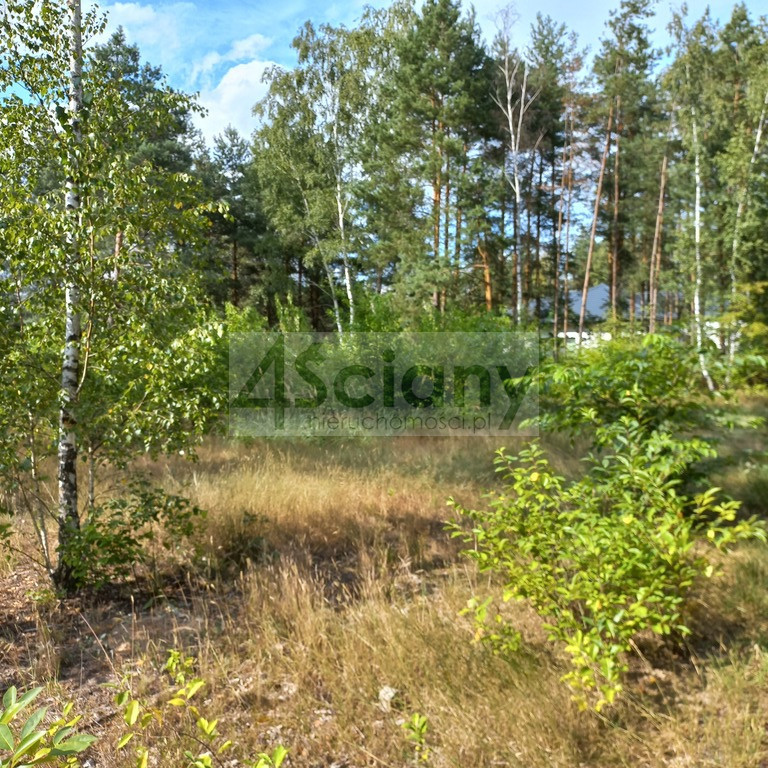Działka budowlana 1400&nbsp;m², Chotomów - zdjęcie 6