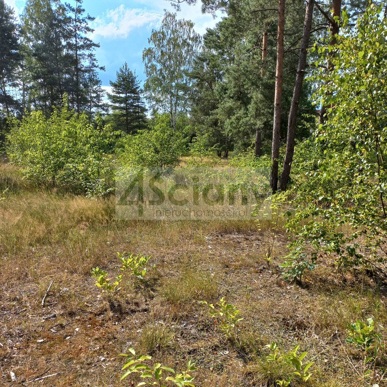 Działka budowlana 1400&nbsp;m², Chotomów - zdjęcie 7