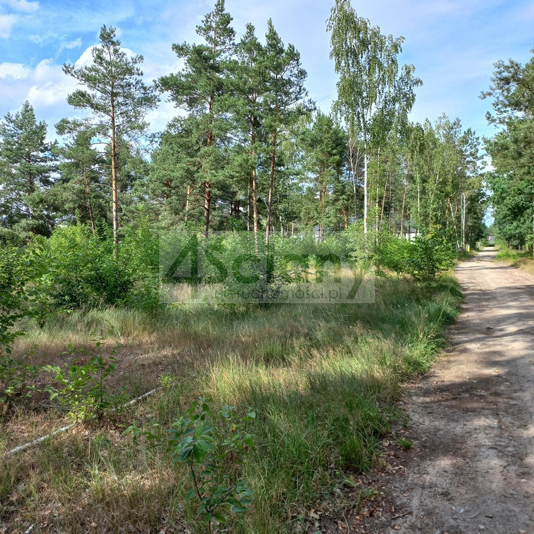 Działka budowlana 1400&nbsp;m², Chotomów - zdjęcie 8