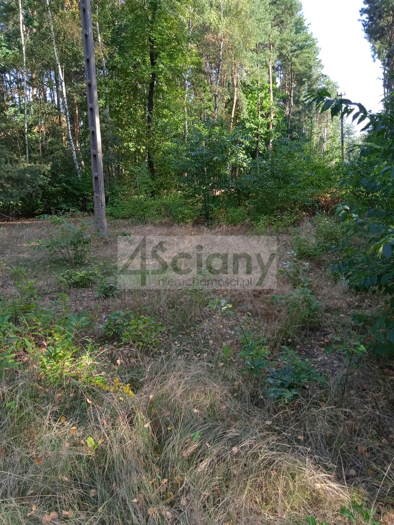 Działka budowlana 1400&nbsp;m², Chotomów - zdjęcie 2