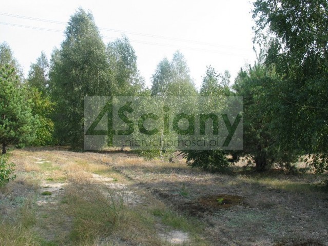 Działka budowlana 1400&nbsp;m², Chotomów - zdjęcie 4