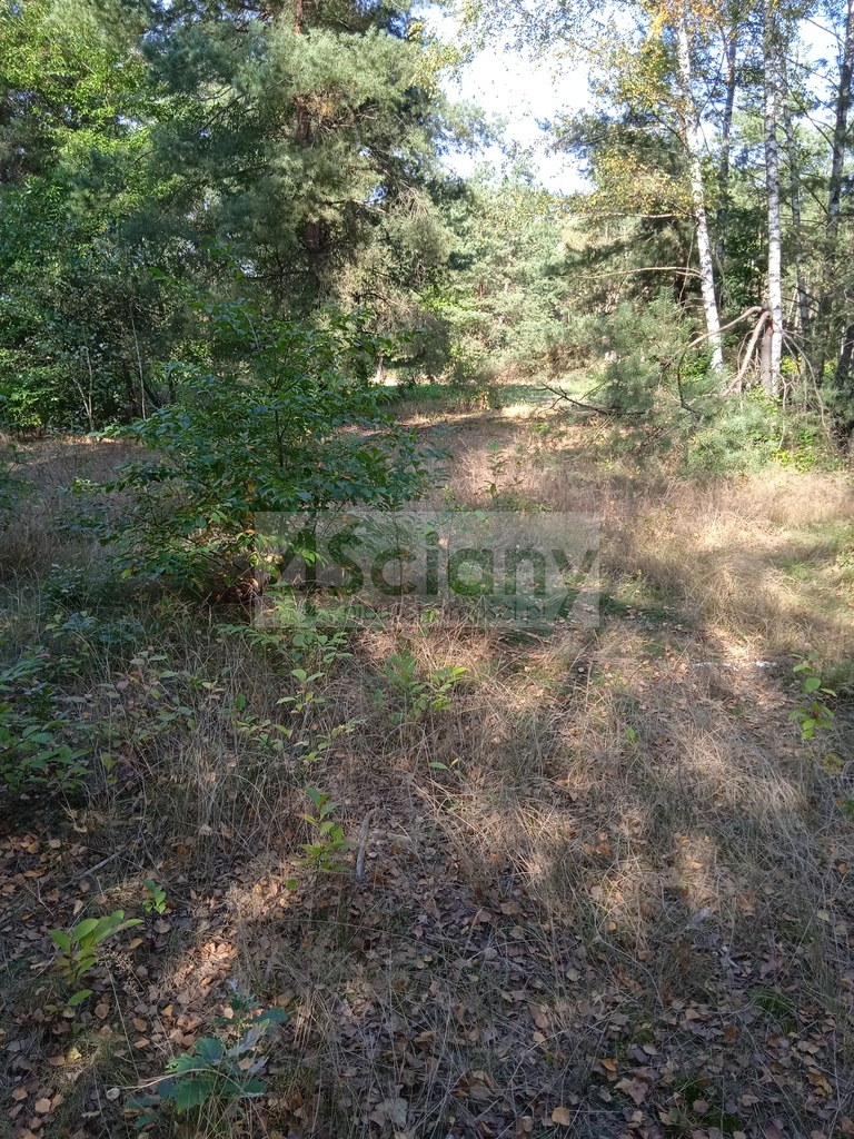 Działka budowlana 1400&nbsp;m², Chotomów - zdjęcie 1