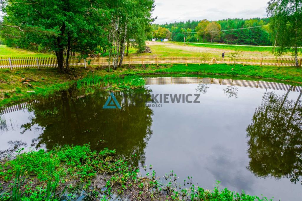 Działka ze stawem Szymbark - zdjęcie 2