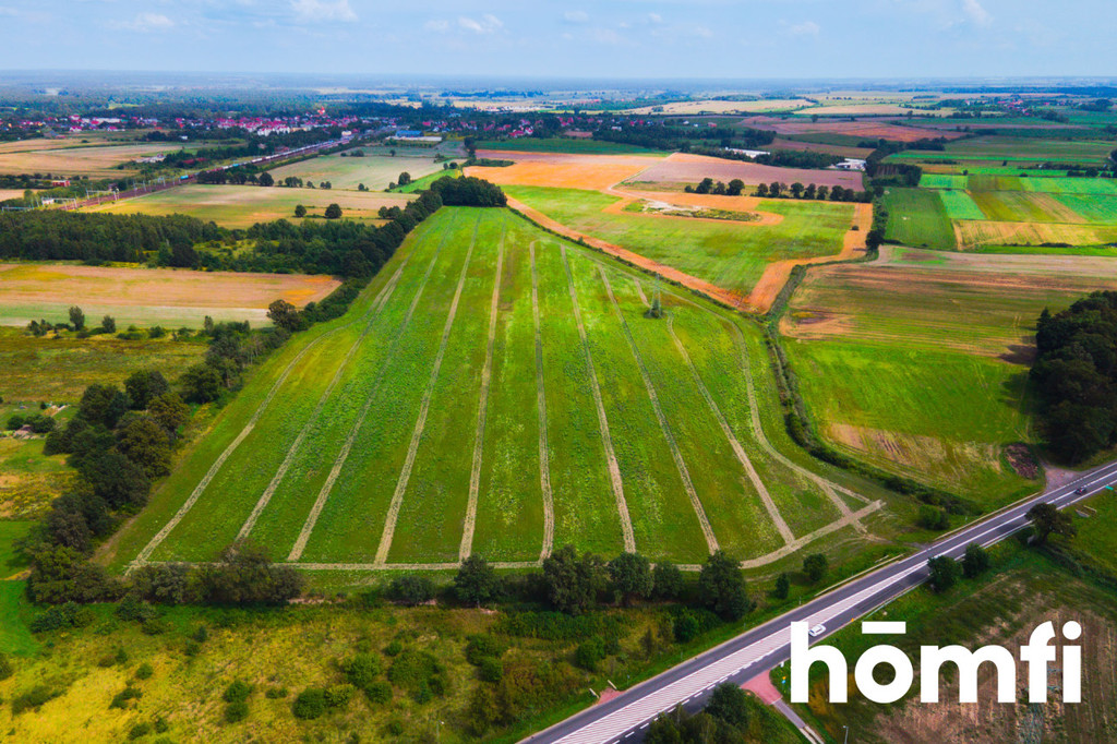Działka inwestycyjna 11,90 ha, Mazurowice - zdjęcie 5