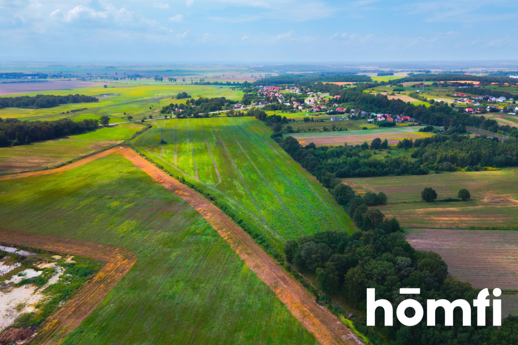 Działka inwestycyjna 11,90 ha, Mazurowice - zdjęcie 8