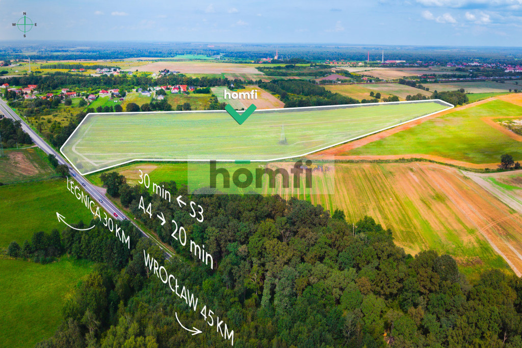 Działka inwestycyjna 11,90 ha, Mazurowice - zdjęcie 10