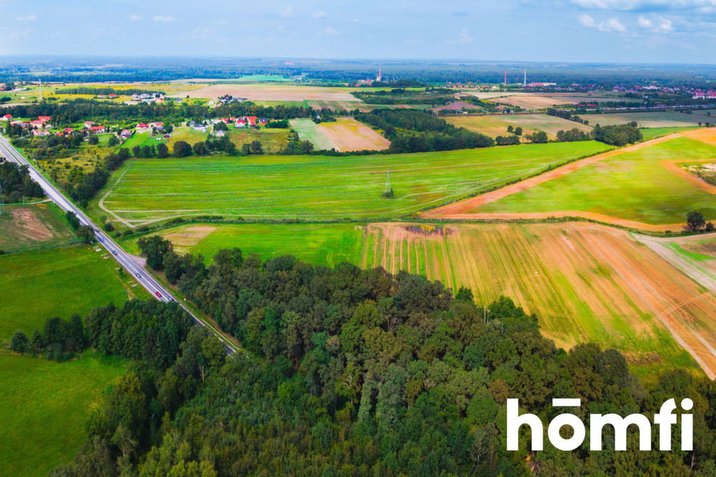 Działka inwestycyjna 11,90 ha, Mazurowice - zdjęcie 6