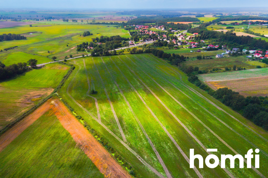 Działka inwestycyjna 11,90 ha, Mazurowice - zdjęcie 9