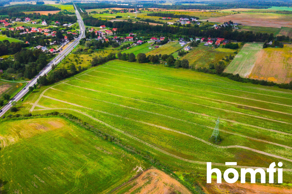 Działka inwestycyjna 11,90 ha, Mazurowice - zdjęcie 7