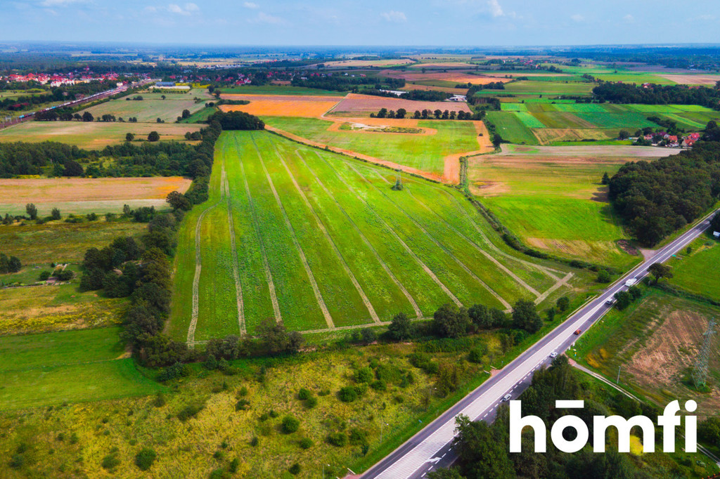 Działka inwestycyjna 11,90 ha, Mazurowice - zdjęcie 3