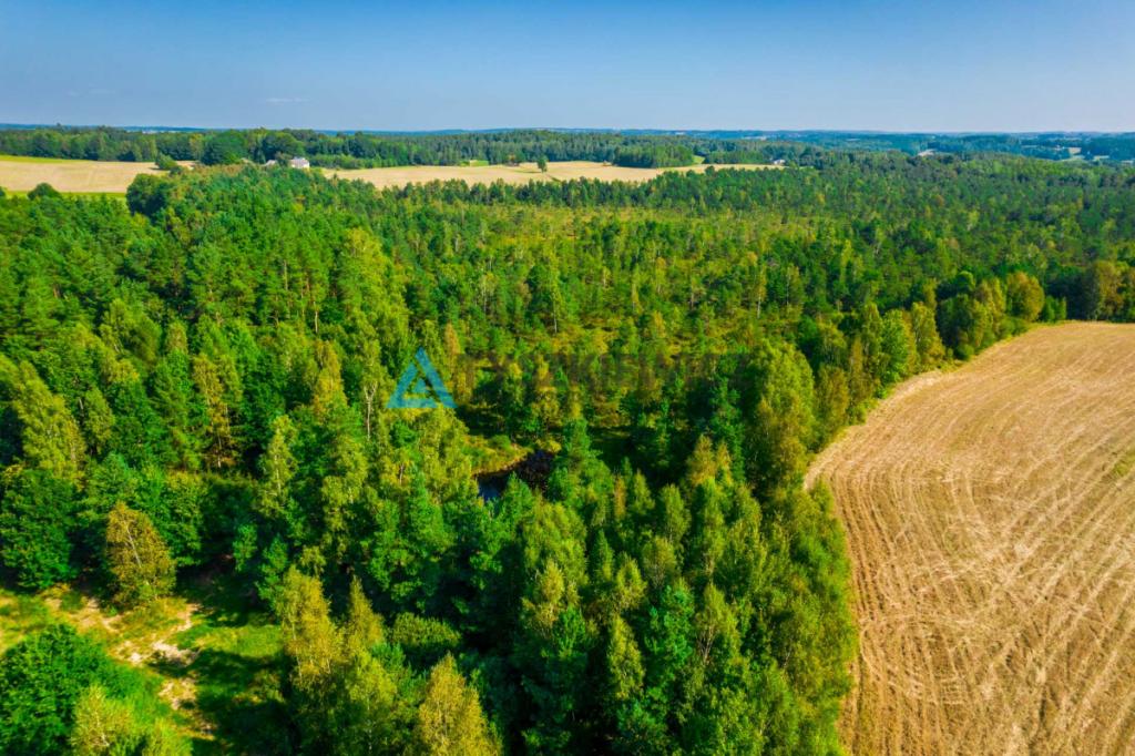 Urokliwa działka w centrum lasu ze stawem! - zdjęcie 11