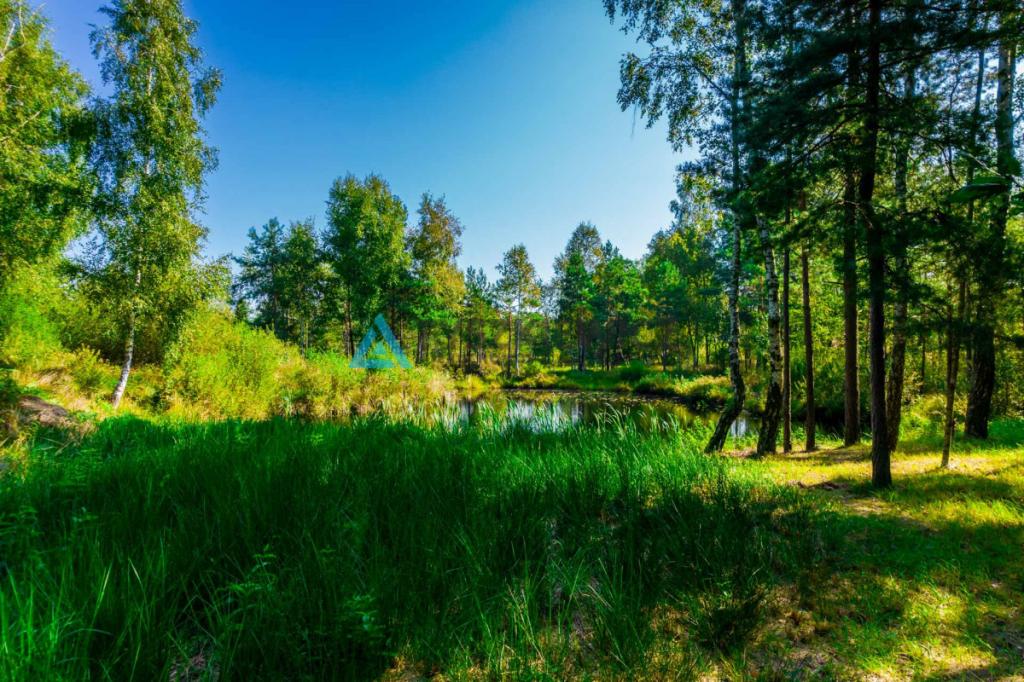 Urokliwa działka w centrum lasu ze stawem! - zdjęcie 5