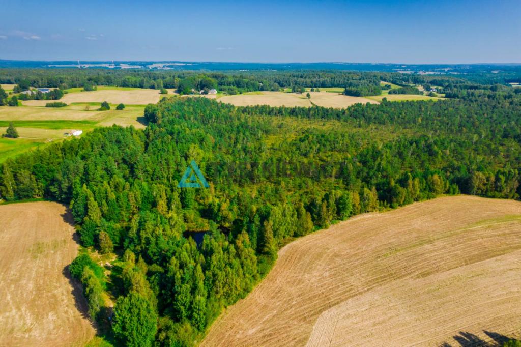 Urokliwa działka w centrum lasu ze stawem! - zdjęcie 16