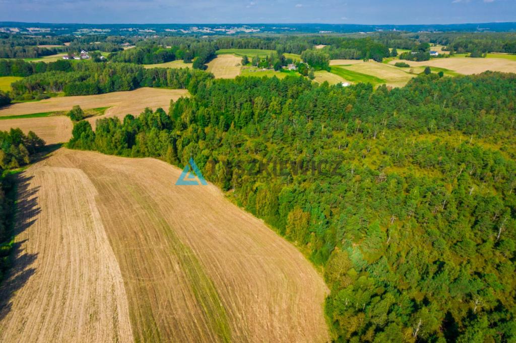 Urokliwa działka w centrum lasu ze stawem! - zdjęcie 14