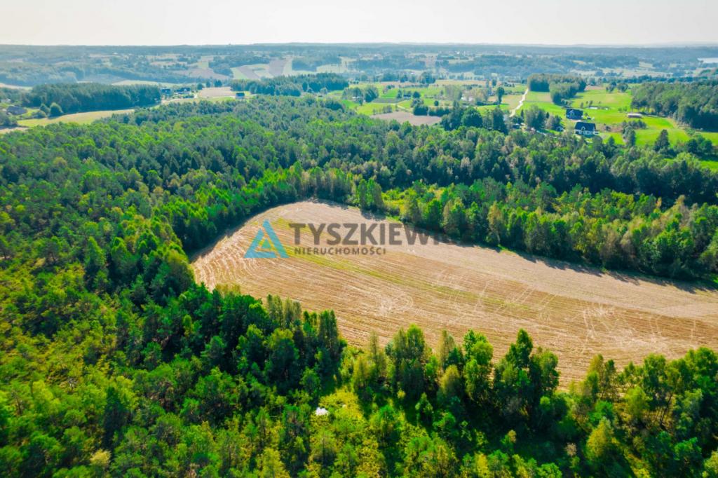 Urokliwa działka w centrum lasu ze stawem! - zdjęcie 13