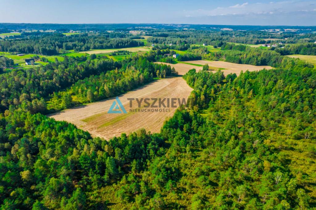 Urokliwa działka w centrum lasu ze stawem! - zdjęcie 12