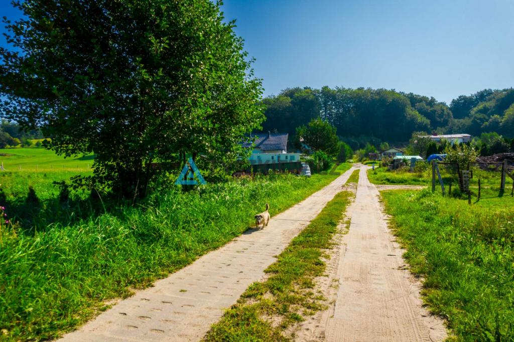 Wyjątkowa działka w sąsiedztwie rzeki Dębnicy! - zdjęcie 13