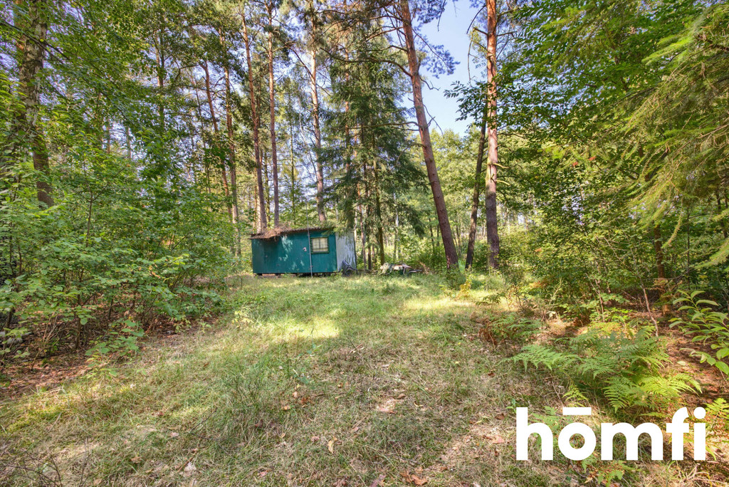 Działka budowlana 1240&nbsp;m², Murzynowo Leśne, Pod Lasem - zdjęcie 1