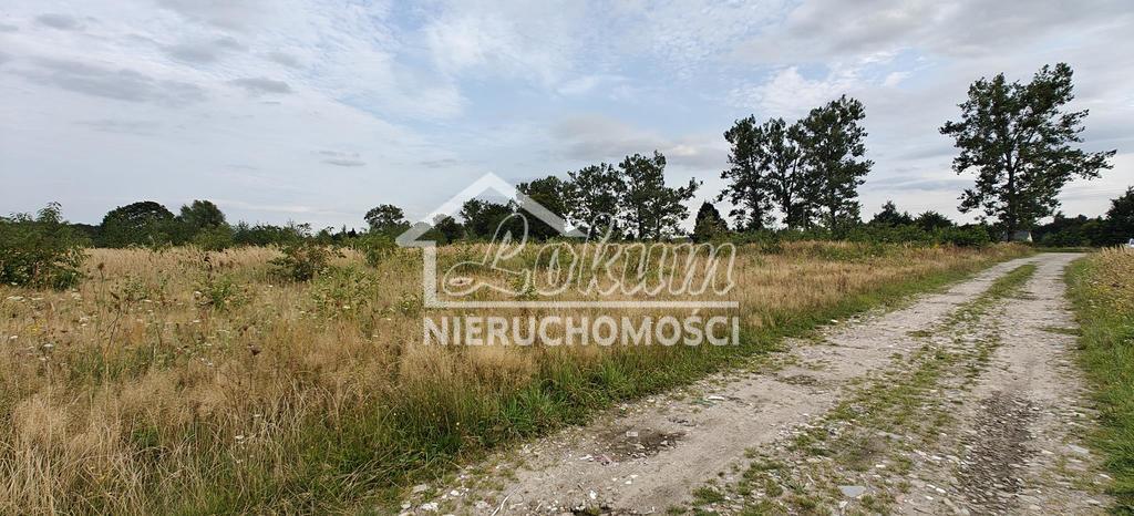 Działka budowlana 3113&nbsp;m², Białuń - zdjęcie 6