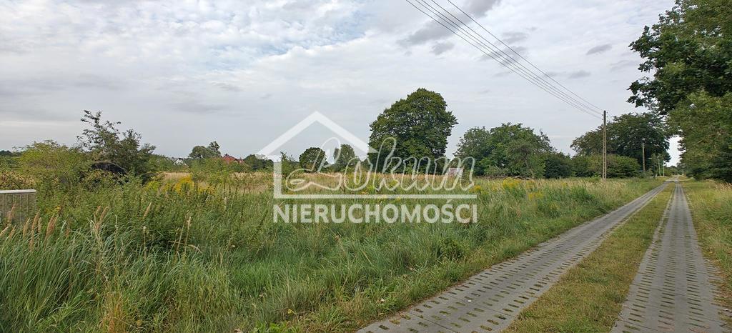 Działka budowlana 3113&nbsp;m², Białuń - zdjęcie 4