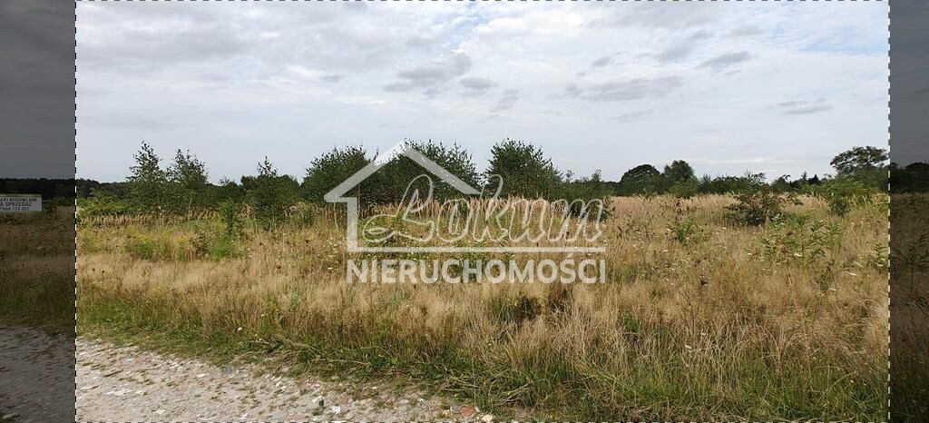 Działka budowlana 3113&nbsp;m², Białuń - zdjęcie 7