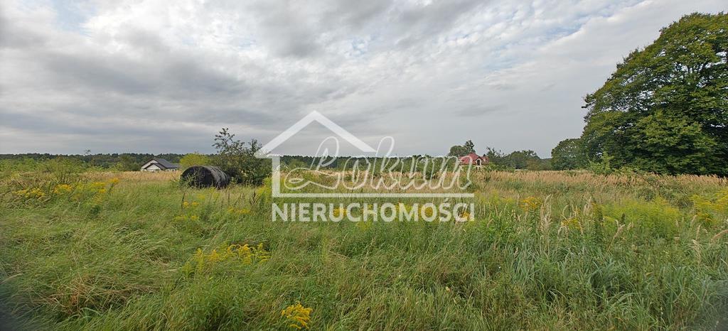 Działka budowlana 3113&nbsp;m², Białuń - zdjęcie 5