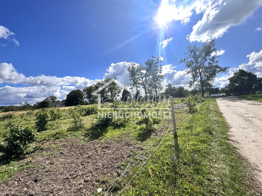 Działka budowlana 3113 m², Białuń - zdjęcie 6