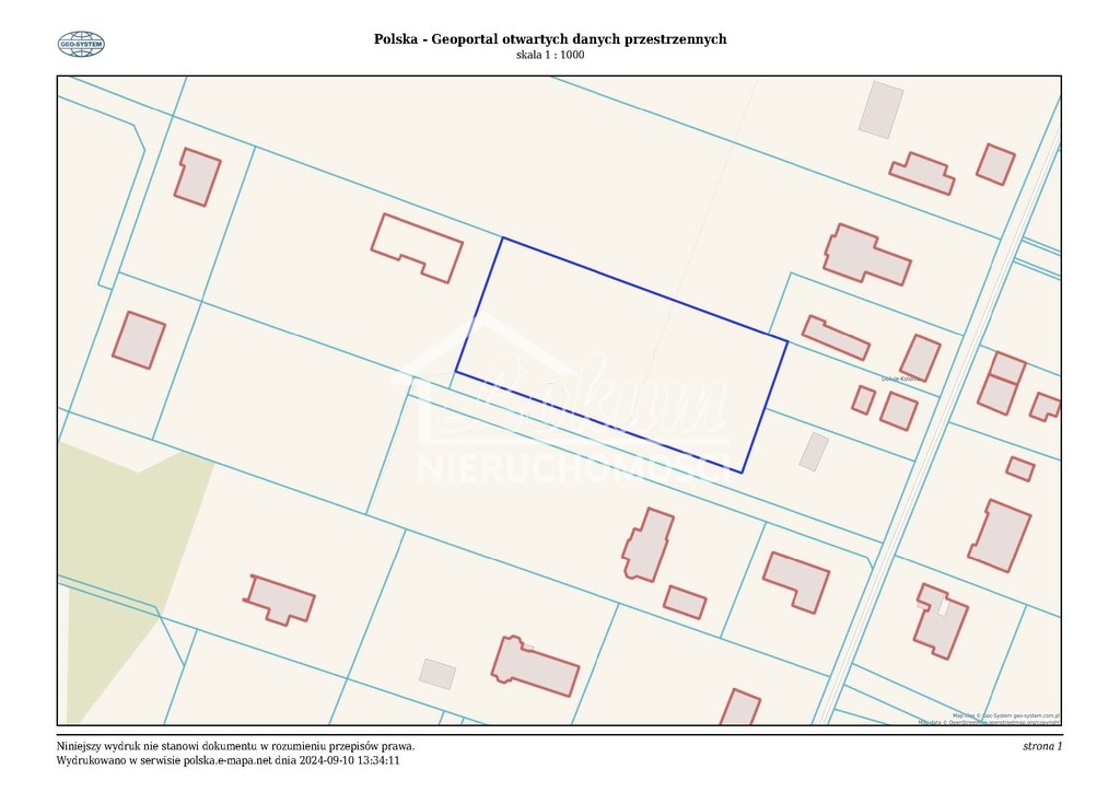 Działka budowlana 3003&nbsp;m², Dołuje - zdjęcie 5