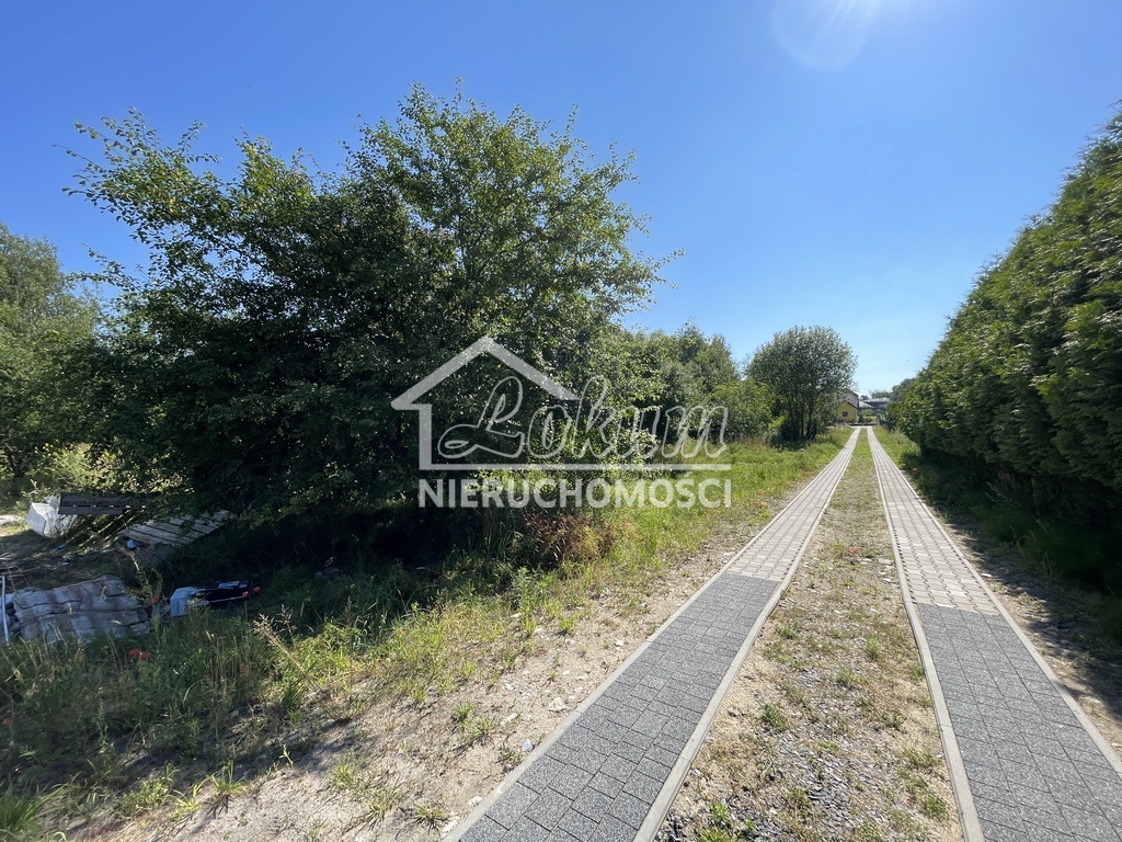 Działka budowlana 3003 m², Dołuje - zdjęcie 2