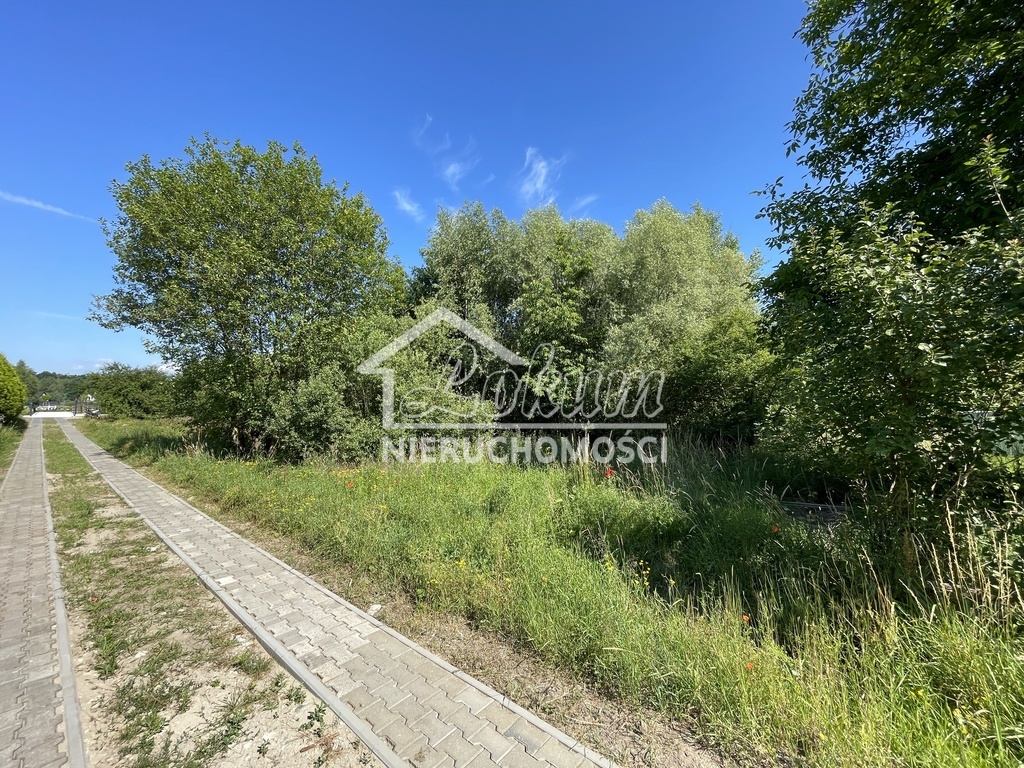 Działka budowlana 3003 m², Dołuje - zdjęcie 3