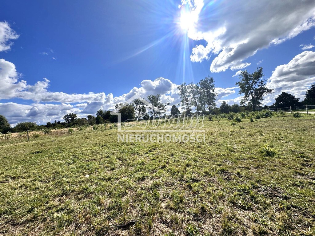 Działka budowlana 3200&nbsp;m², Białuń - zdjęcie 4