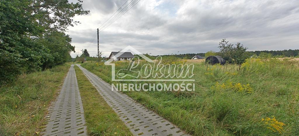 Działka budowlana 3200&nbsp;m², Białuń - zdjęcie 3