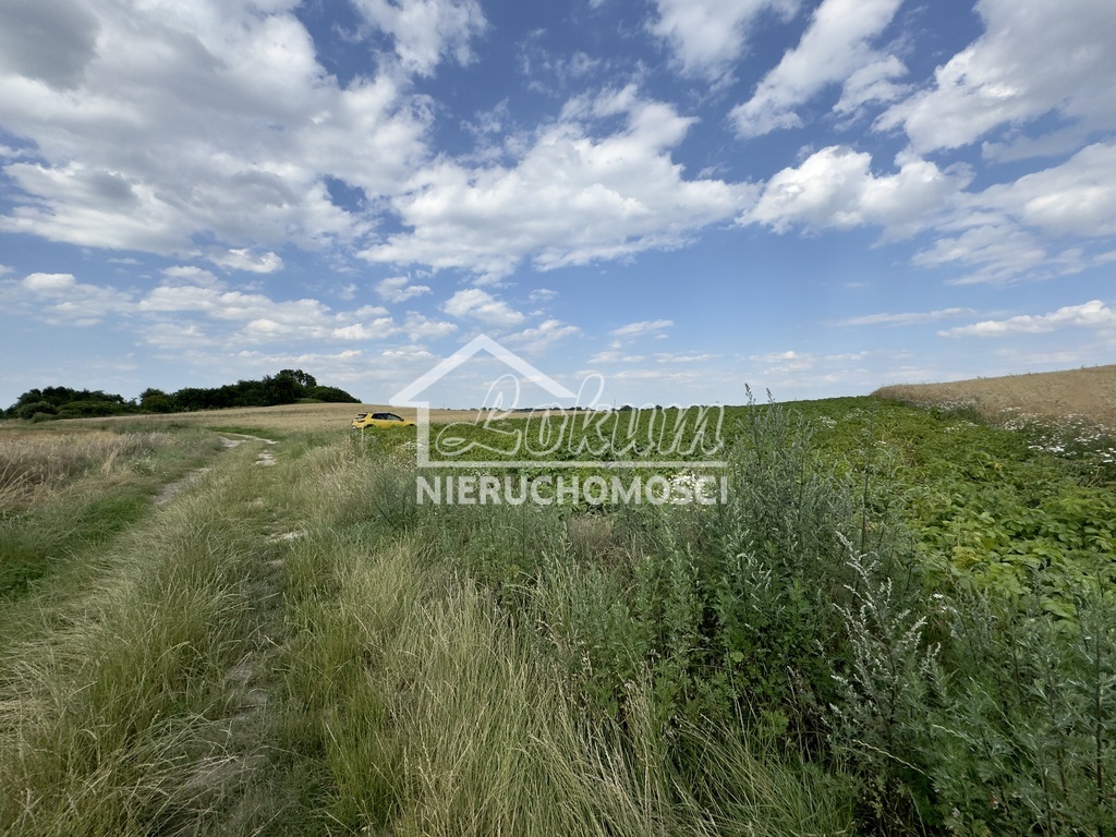 Działka budowlana 2300&nbsp;m², Bielice - zdjęcie 5