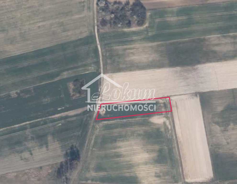 Działka budowlana 2300&nbsp;m², Bielice - zdjęcie 6