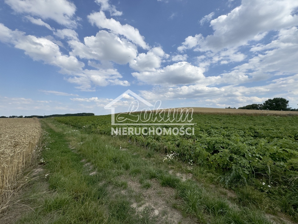 Działka budowlana 2300&nbsp;m², Bielice - zdjęcie 1