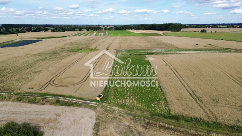 Działka budowlana 2300&nbsp;m², Bielice - zdjęcie 2