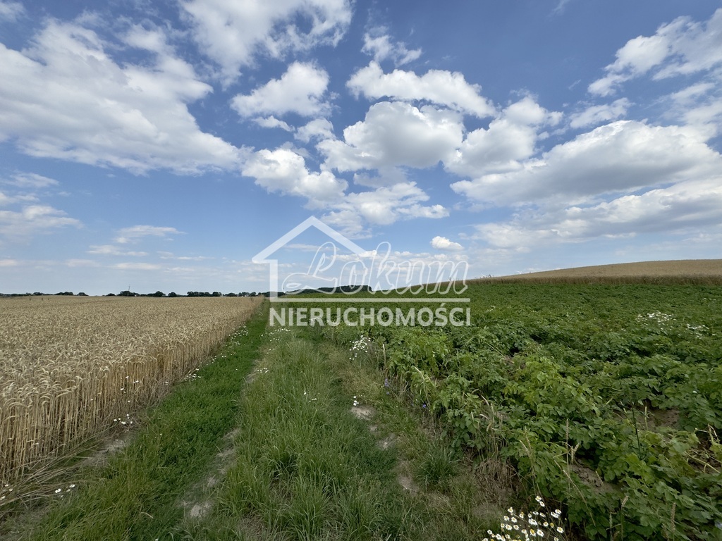 Działka budowlana 2300&nbsp;m², Bielice - zdjęcie 4