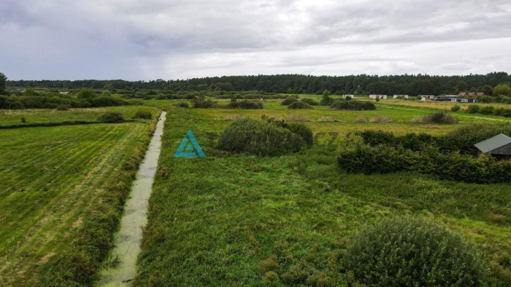 Działka rekreacyjna nad morzem, pod lasem - zdjęcie 15
