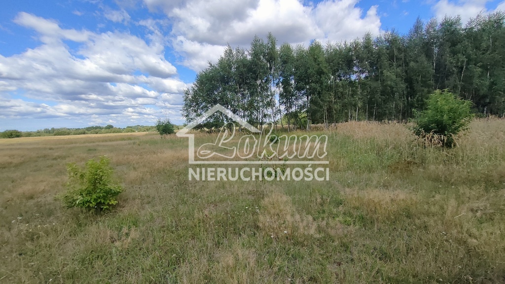 Działka rolna 3182&nbsp;m², Komarowo - zdjęcie 5