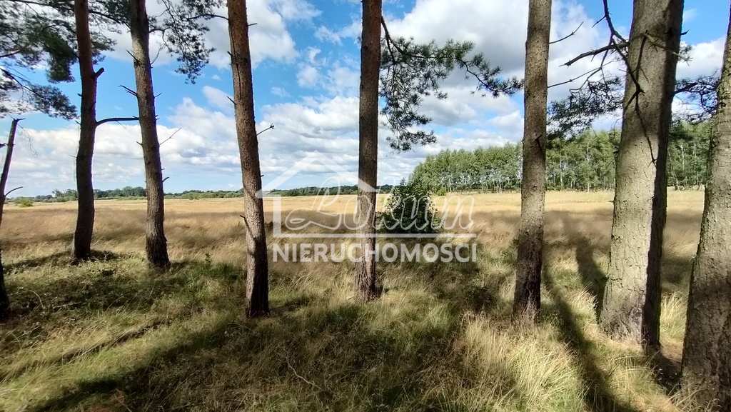 Działka rolna 3182&nbsp;m², Komarowo - zdjęcie 2