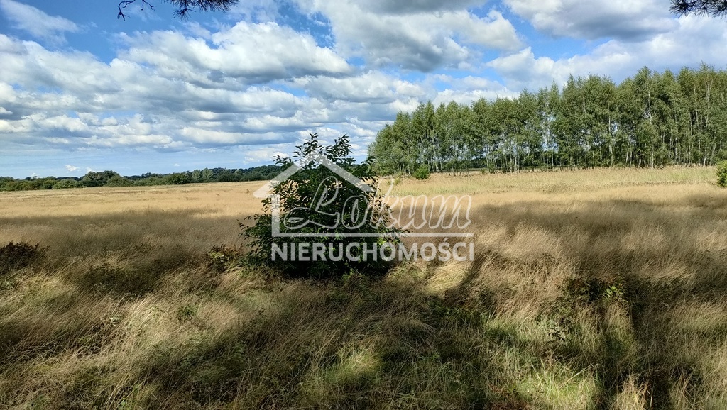 Działka rolna 3182&nbsp;m², Komarowo - zdjęcie 4
