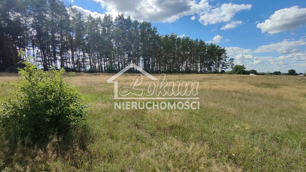 Działka rolna 3182 m², Komarowo - zdjęcie 1